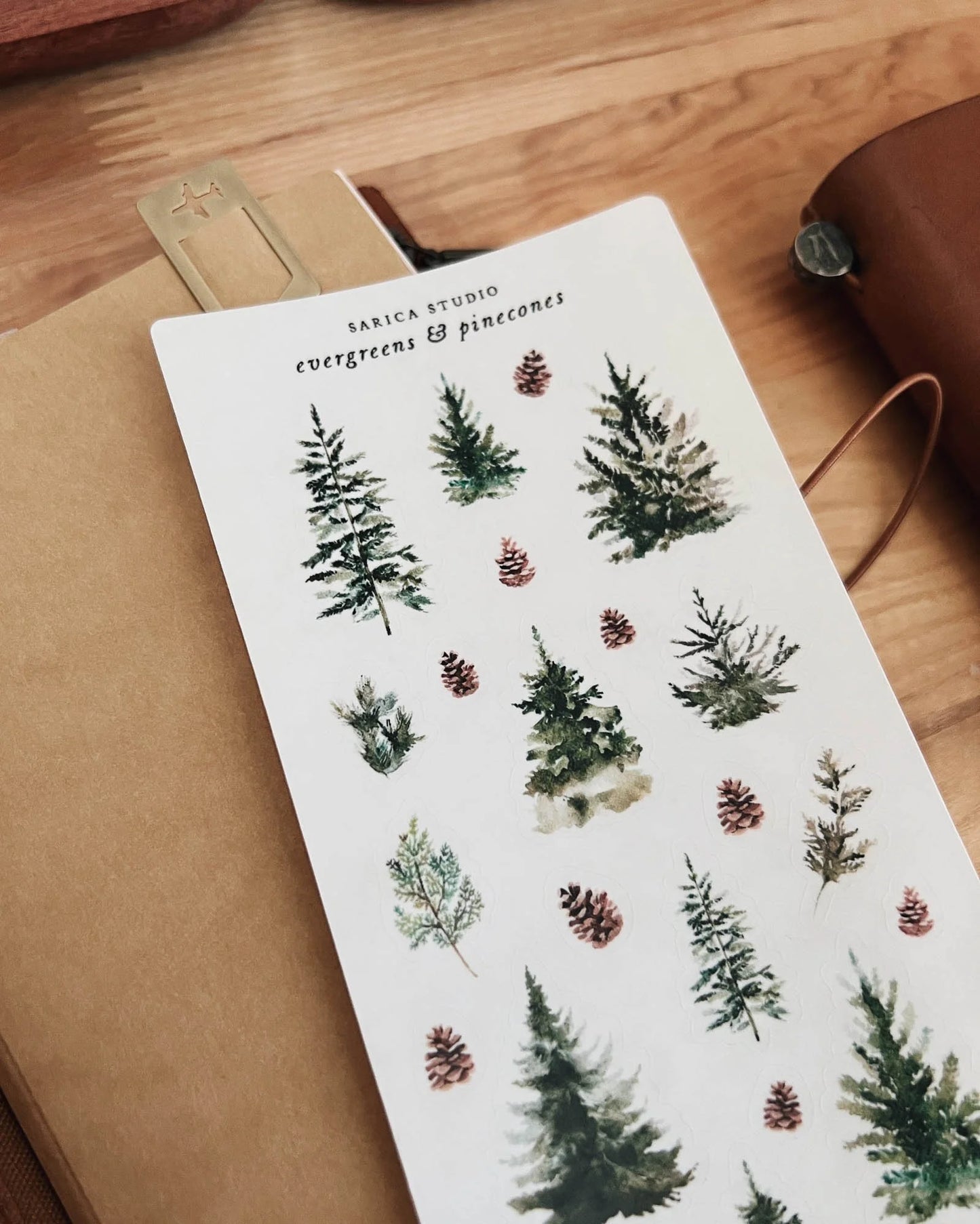 Evergreens & Pinecones Sticker Sheet - Sarica Studio