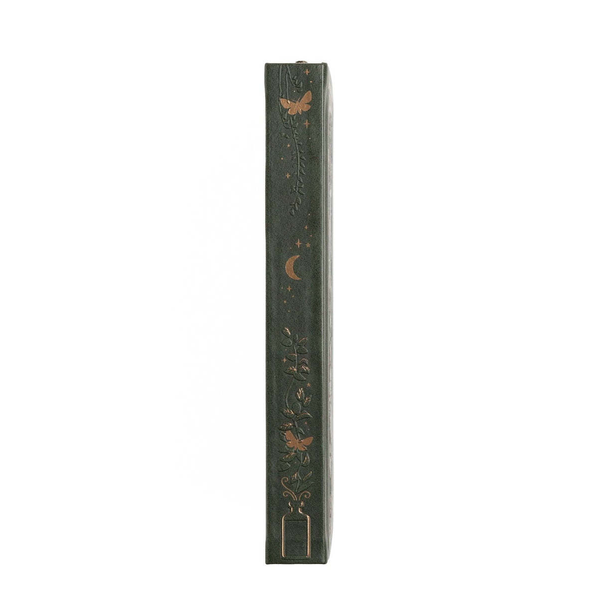 Apothecary Shelf A5 - Archer & Olive