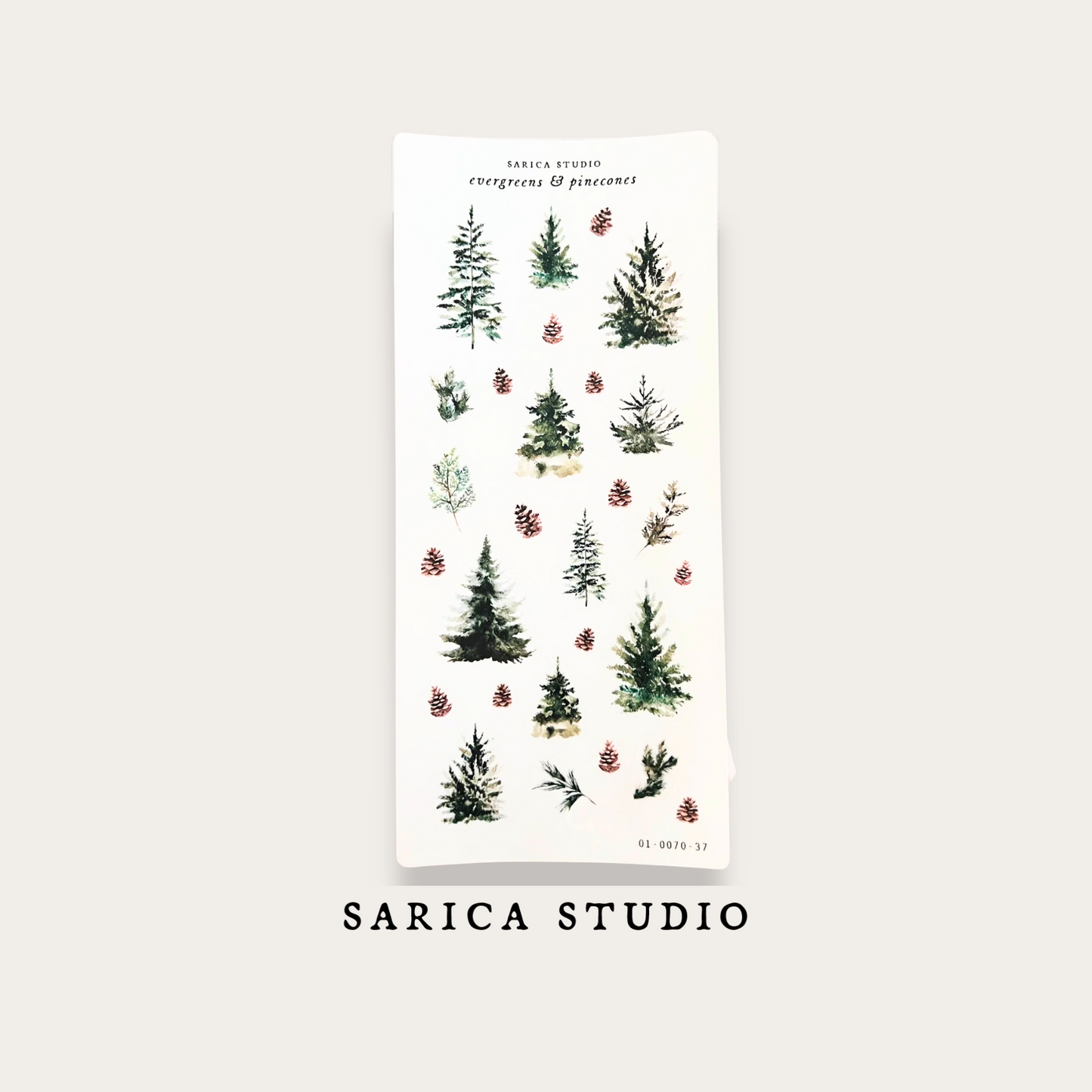 Evergreens & Pinecones Sticker Sheet -  Sarica Studio