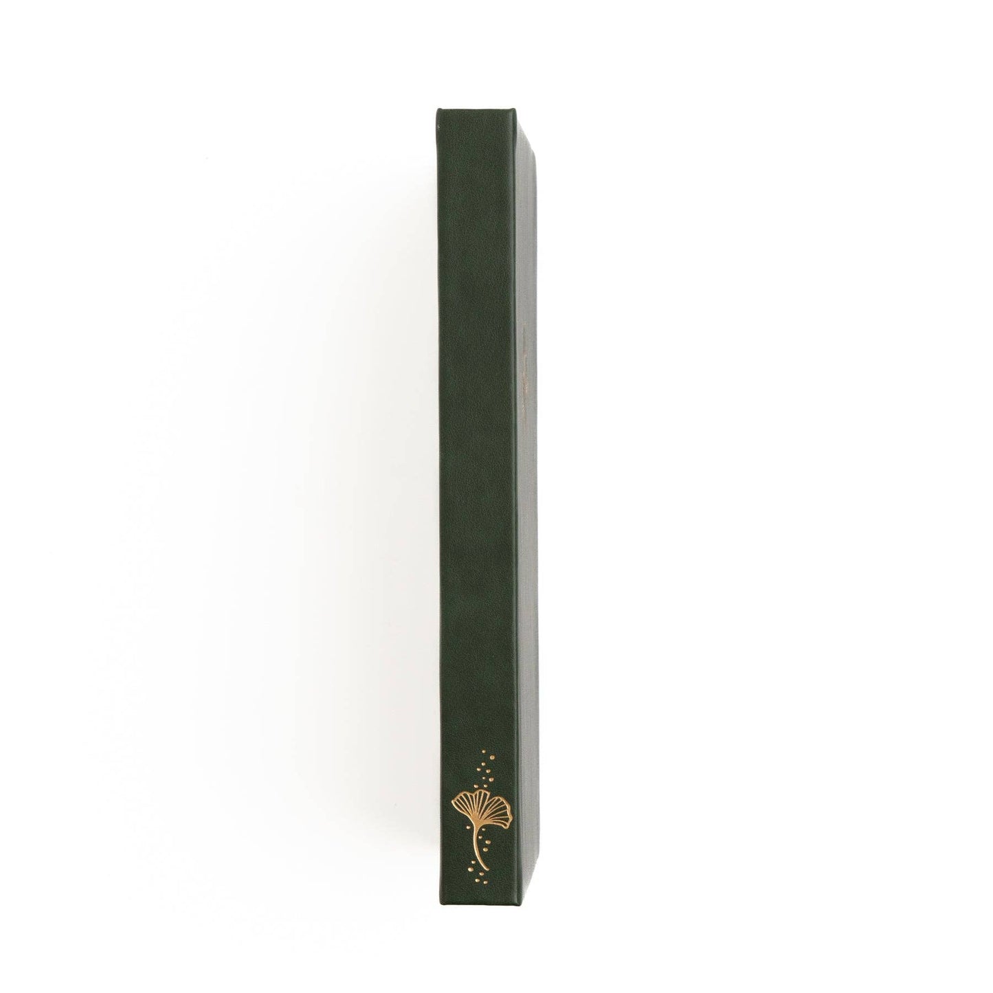 Ginkgo Leaf B5 - Archer & Olive