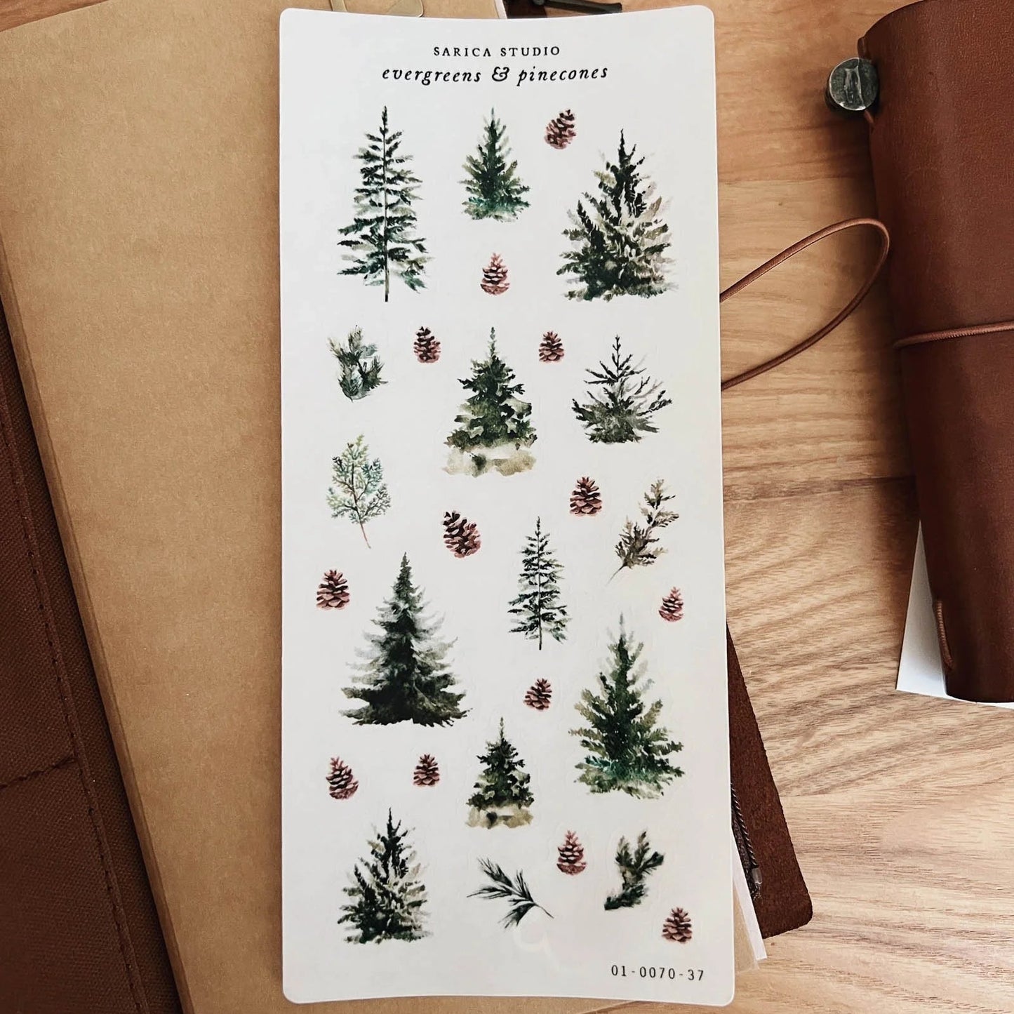 Evergreens & Pinecones Sticker Sheet -  Sarica Studio